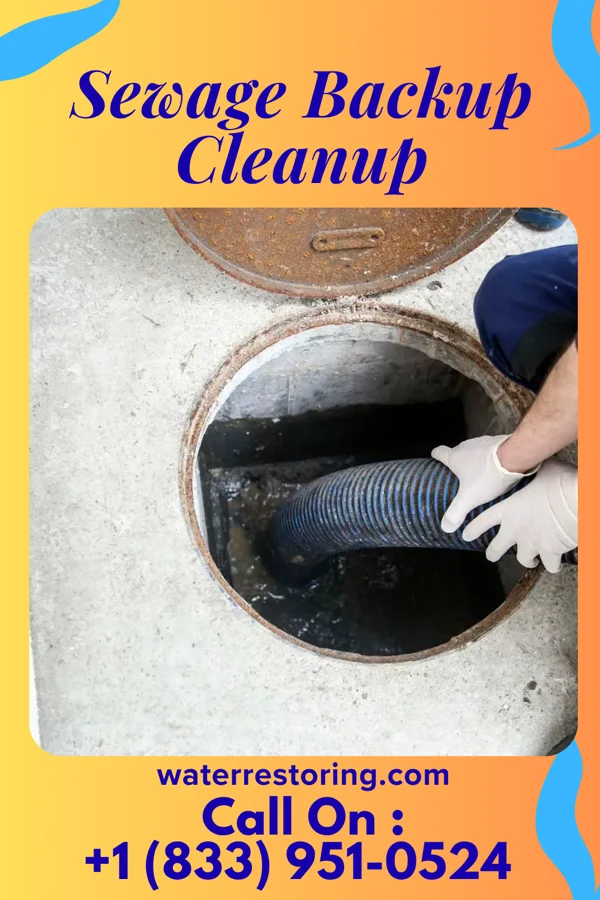 Sewage Backup Cleanup in East Peru, IA